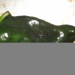 Pasilla Chile  150x150 Chiles Rellenos:  Mrs. Z Writes About Her Love for Pasilla Chiles