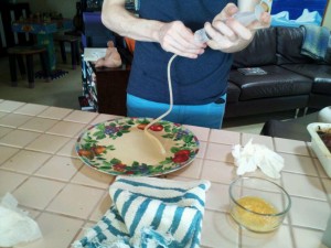 Photo 11 300x225 Creating Great Family Chemistry: Fun with Jesse and Molecular Gastronomy