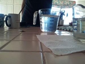 Photo 3 300x225 Creating Great Family Chemistry: Fun with Jesse and Molecular Gastronomy